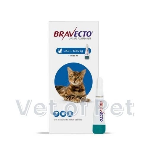 Bravecto Spot-On Kedi 250mg (2.8kg-6.25 Kg) 1 Pipet  SKT:07.2027