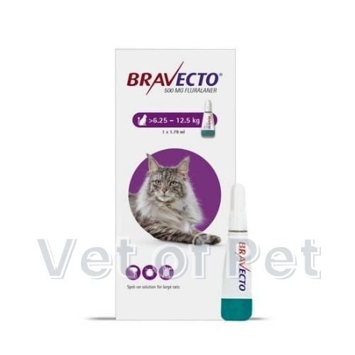 Bravecto Spot-On Kedi (6.25kg-12.5 Kg) 1 Pipet  SKT:03.2027